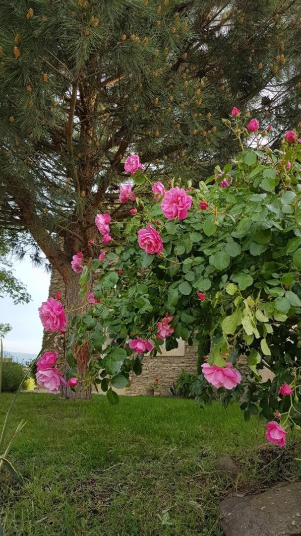 Relais De Navon Bed & Breakfast Saint-Joseph  Екстериор снимка